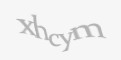 Защитный код